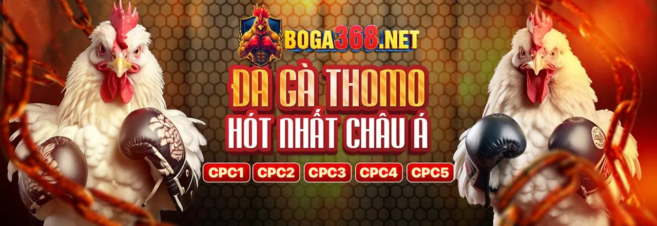 Sân vận động bóng đá với không khí sôi động của cá cược thể thao VT88