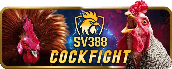 Ví điện tử VT88