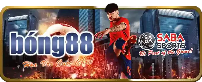 Hotline hỗ trợ VT88